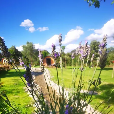 Les Pres Du Roi Camping